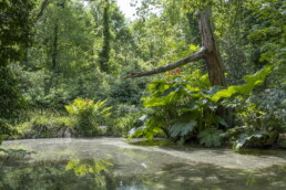 Museumsinsel Hombroich